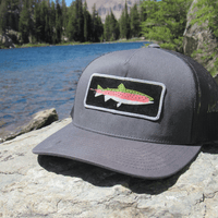 Rainbow Trout Hat (mid) - Mammoth Lake